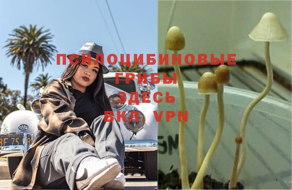 прущая мука Киреевск