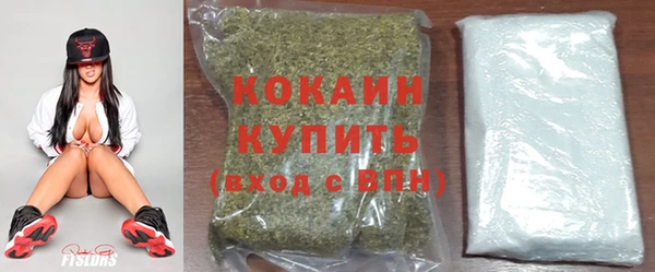 шишки Инсар