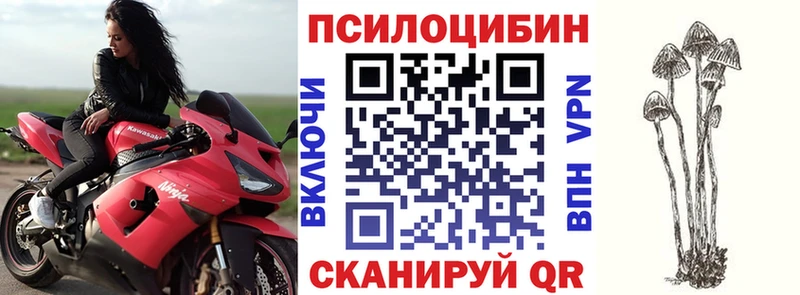 Галлюциногенные грибы GOLDEN TEACHER  Красновишерск 